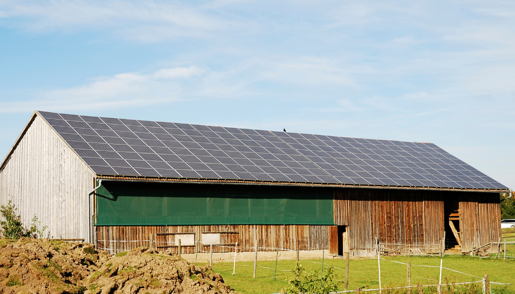 panneaux solaires sur un hangar agricole